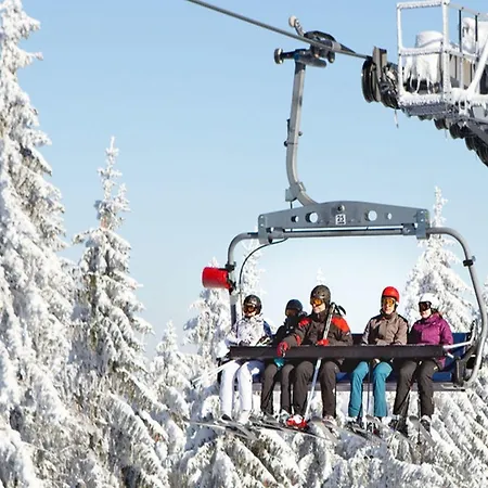 Garnihotel - Arberblick