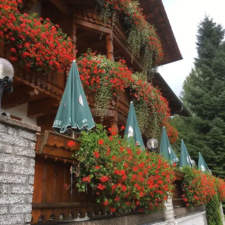 酒店 Garnihotel - Arberblick