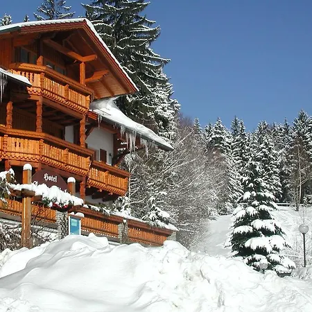 酒店 Garnihotel - Arberblick