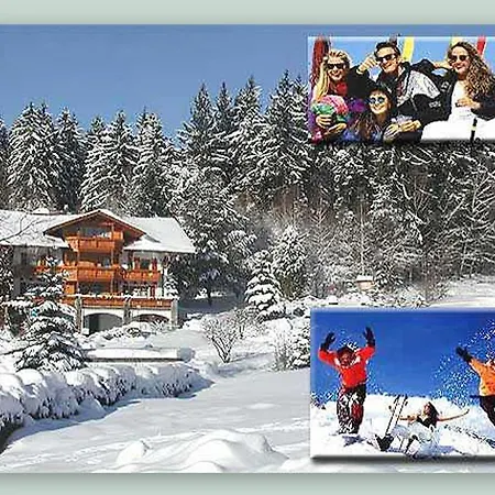 Garnihotel - Arberblick 3* Lohberg