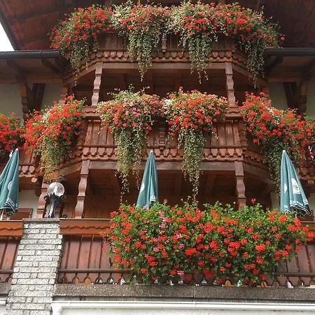 酒店 Garnihotel - Arberblick