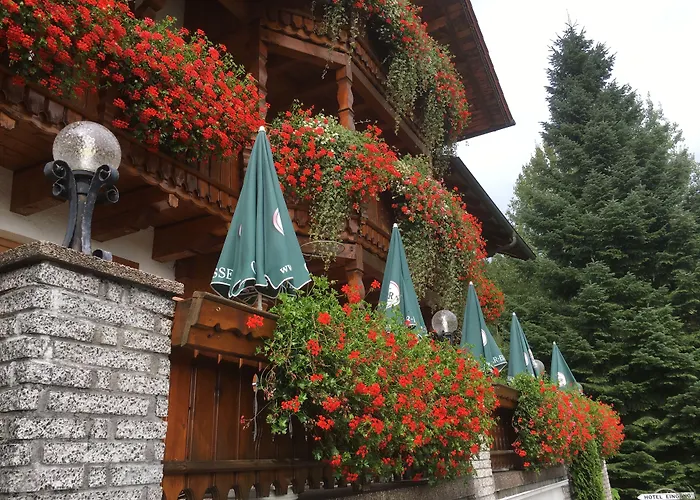 Hotell Garnihotel - Arberblick