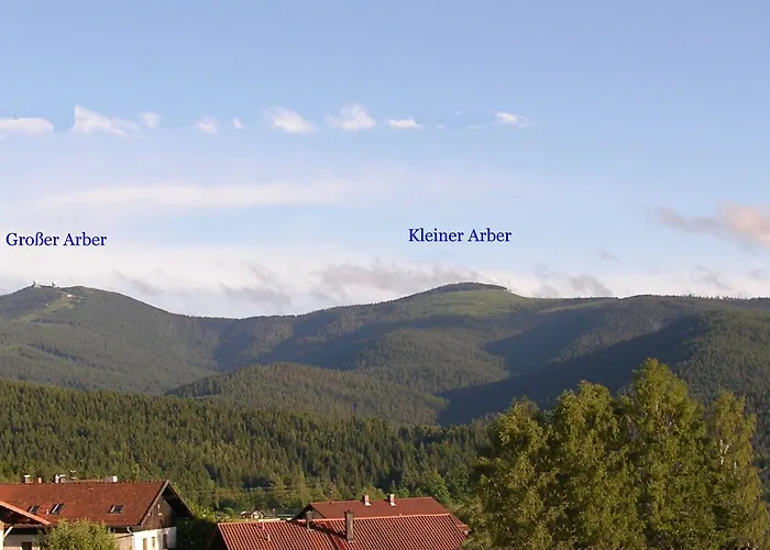 Garnihotel - Arberblick 3* Lohberg