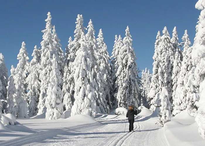 Garnihotel - Arberblick Hotell 3*