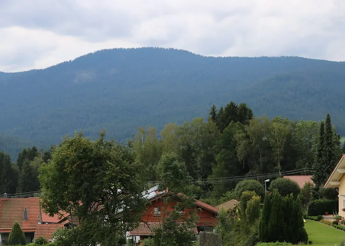 Garnihotel - Arberblick 3*