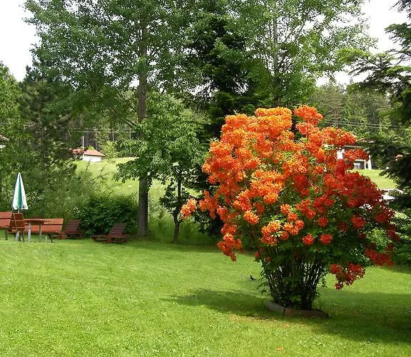 Garnihotel - Arberblick Lohberg