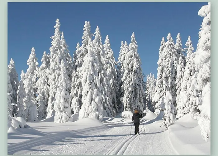 Hotell Garnihotel - Arberblick 3*