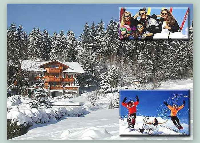 Garnihotel - Arberblick 3* Lohberg