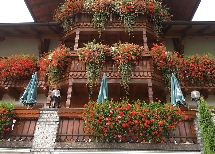 Hotell Garnihotel - Arberblick