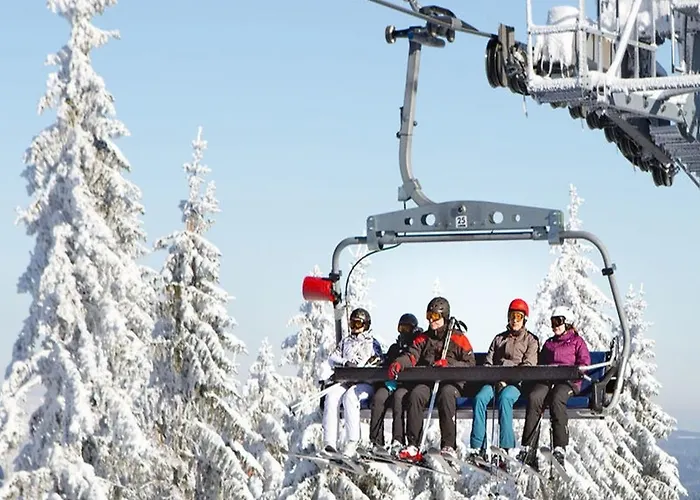 Garnihotel - Arberblick Lohberg