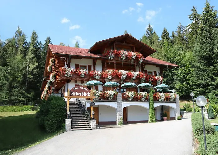 Hotell Garnihotel - Arberblick 3*