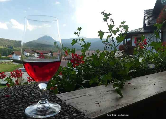 Hotell Garnihotel - Arberblick Lohberg