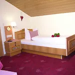 ホテル Garnihotel - Arberblick 3*