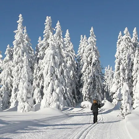 Garnihotel - Arberblick Hotel 3*