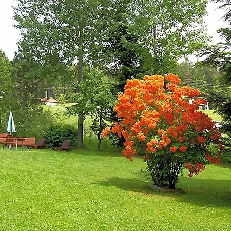 Garnihotel - Arberblick Hotel Lohberg