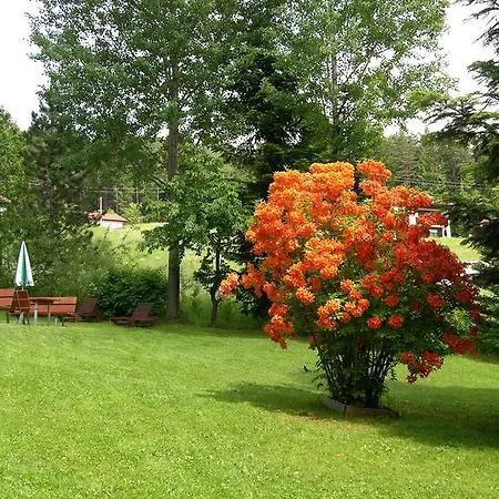 Garnihotel - Arberblick Lohberg