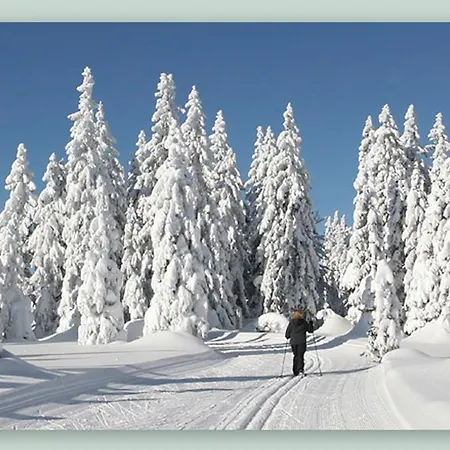 Hotel Garnihotel - Arberblick 3*