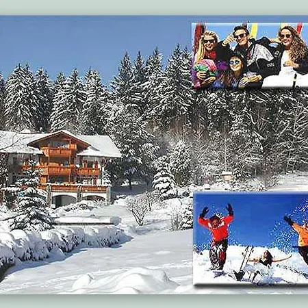 Garnihotel - Arberblick 3* 洛恩堡