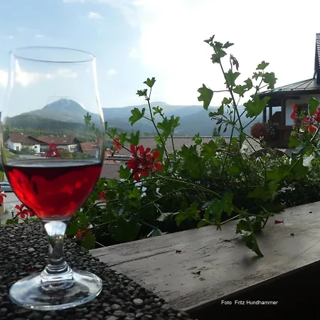 Hotel Garnihotel - Arberblick Lohberg