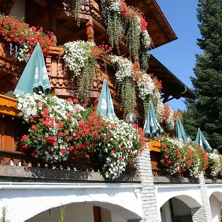 Garnihotel - Arberblick 3* 洛恩堡